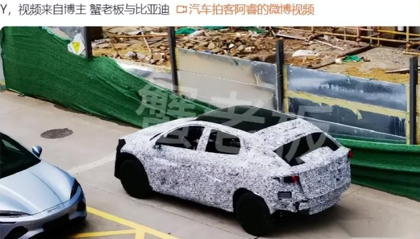 比亚迪,特斯拉,海豹,海鸥,Model Y