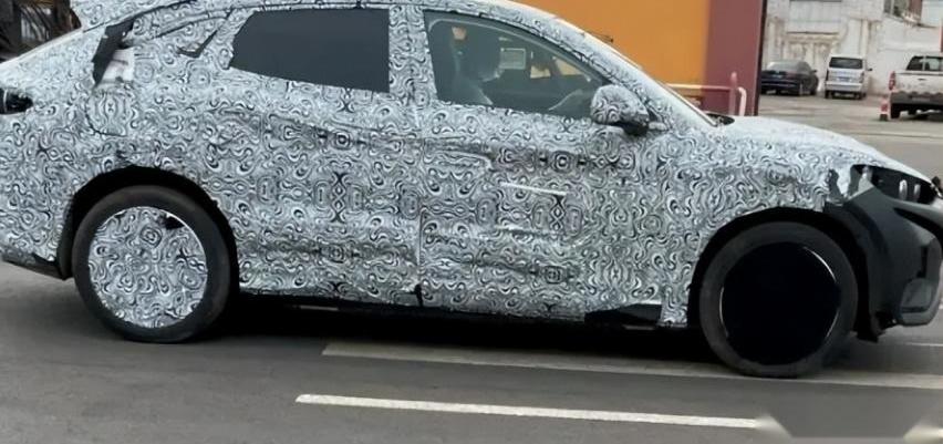 比亚迪,特斯拉,海豹,海鸥,Model Y