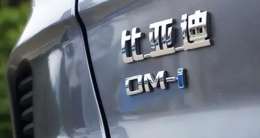 比亚迪,特斯拉,海豹,海鸥,Model Y