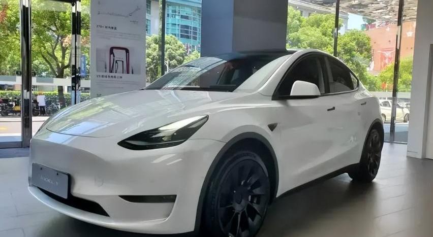 比亚迪,特斯拉,海豹,海鸥,Model Y