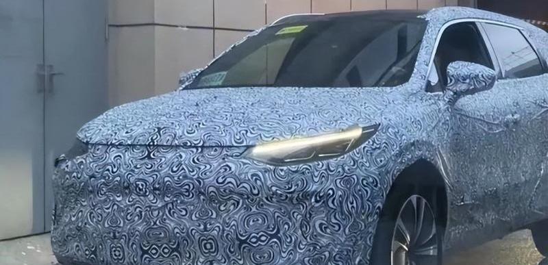 比亚迪,腾势,特斯拉,Model Y