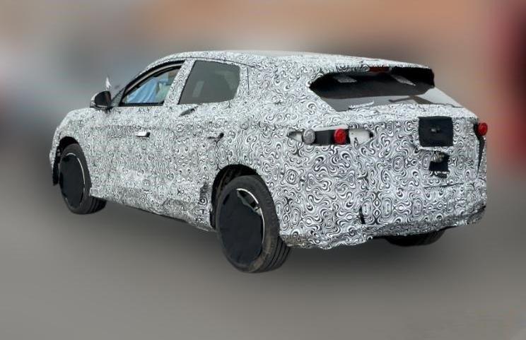 比亚迪,腾势,特斯拉,Model Y