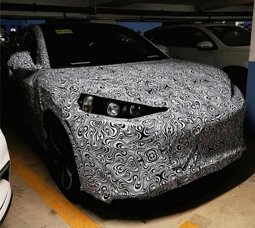 比亚迪,腾势,特斯拉,Model Y