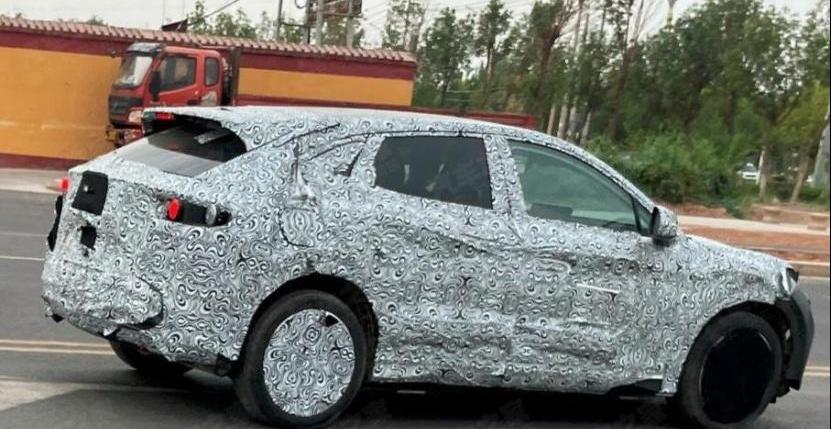 比亚迪,海豹,海豚,特斯拉,Model Y