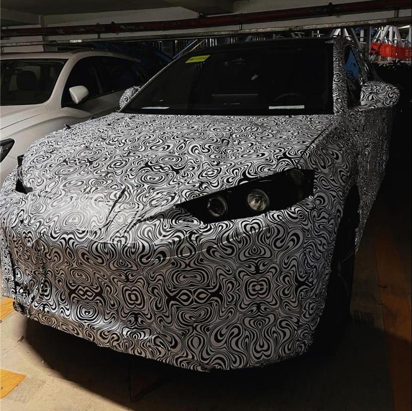 比亚迪,海豹,海豚,特斯拉,Model Y