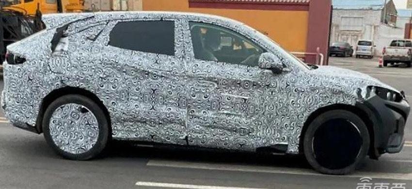 比亚迪,海豹,Model Y,特斯拉,海豚