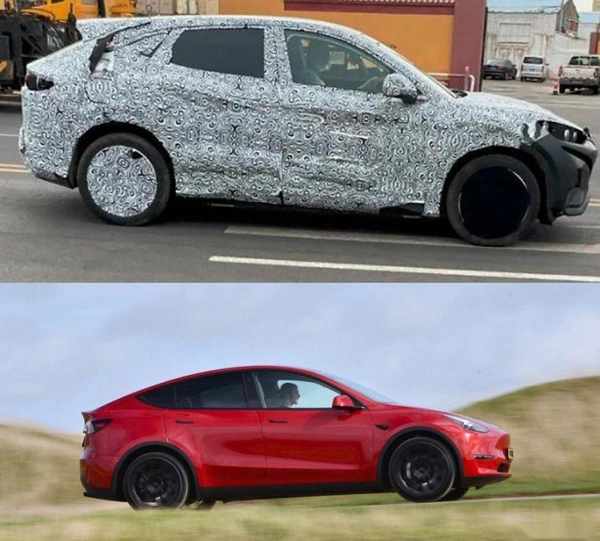 比亚迪,海豹,Model Y,特斯拉,海豚
