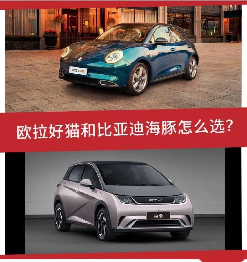 欧拉,海豚,欧拉好猫,比亚迪,保时捷