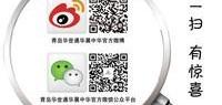 金杯,阁瑞斯,金杯海狮,丰田