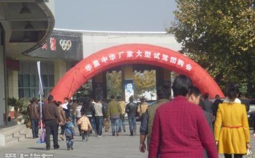 金杯,阁瑞斯,高尔夫,金杯海狮