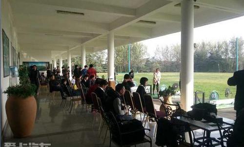 金杯,阁瑞斯,高尔夫,金杯海狮