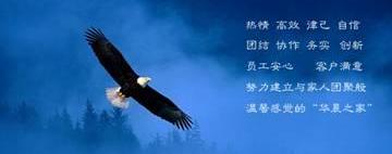 金杯,理念,阁瑞斯,金杯海狮