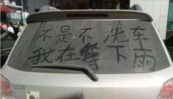 金杯,现代