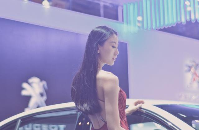 DS,Jeep,金杯,标致,广汽传祺