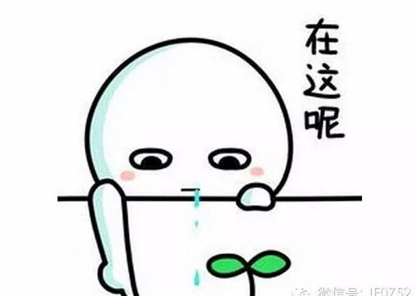 丰田,一汽,卡罗拉,皇冠,威驰