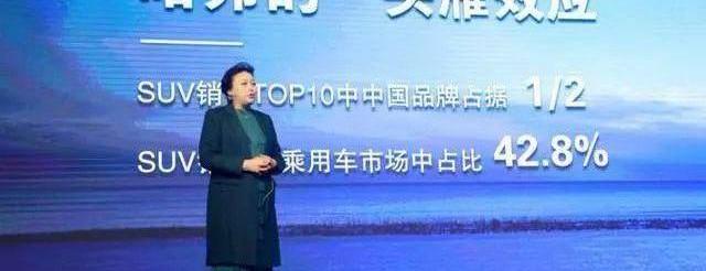 哈弗,长城,宝马,哈弗H6,远程