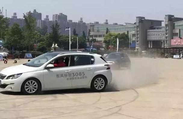 标致,东风,奔腾,高尔夫,炮