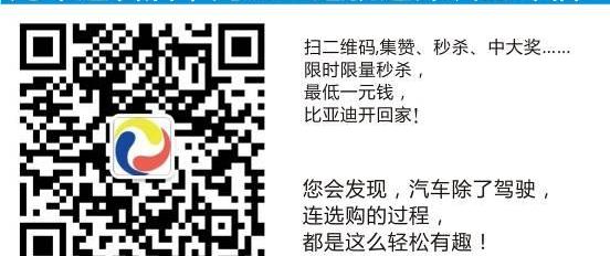 比亚迪,金杯