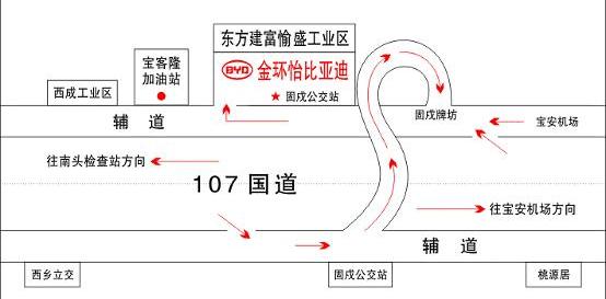 比亚迪,金杯