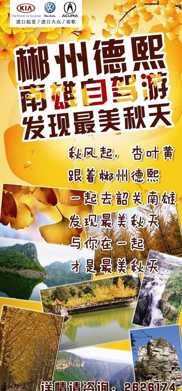 起亚,大众,发现,索兰托