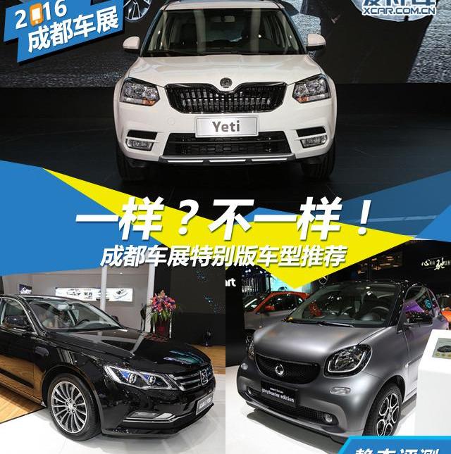 斯柯达,大众,DS,smart,众泰