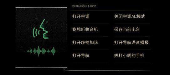 鲸