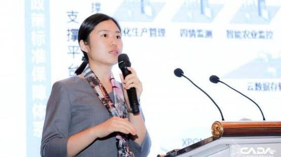 北京,理念,汉