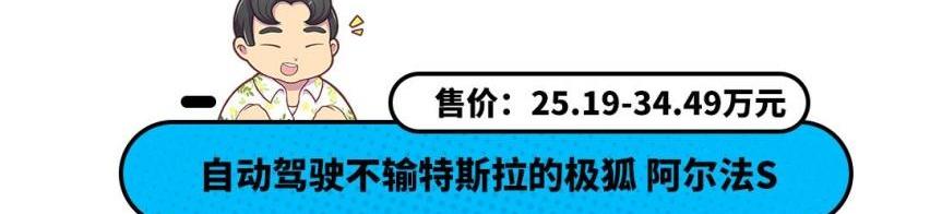 坦克,坦克300,比亚迪,丰田,RAV4荣放