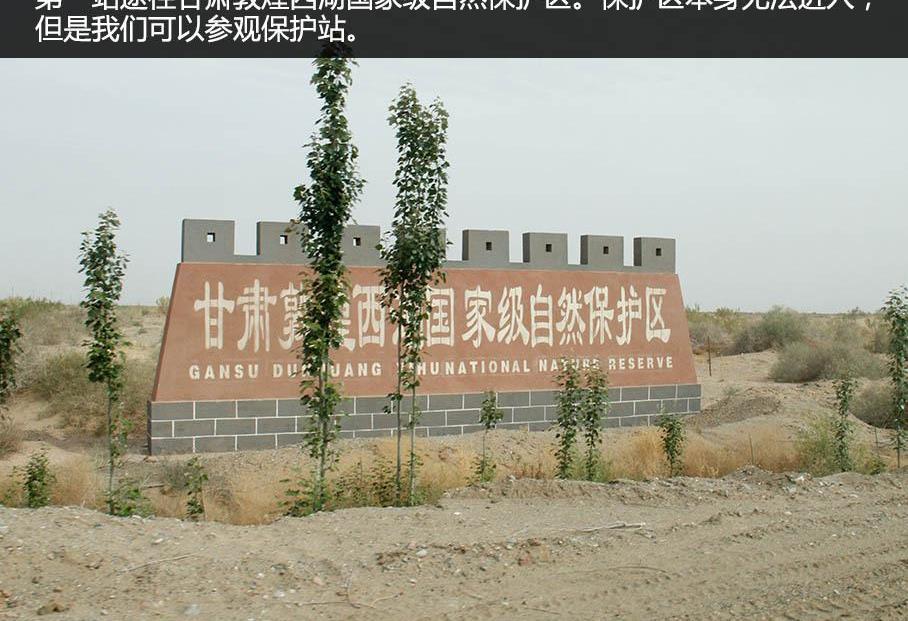 骆驼,斯巴鲁,森林人,丰田,汉