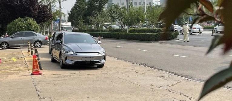 Model 3,Model Y,北京,比亚迪,埃安
