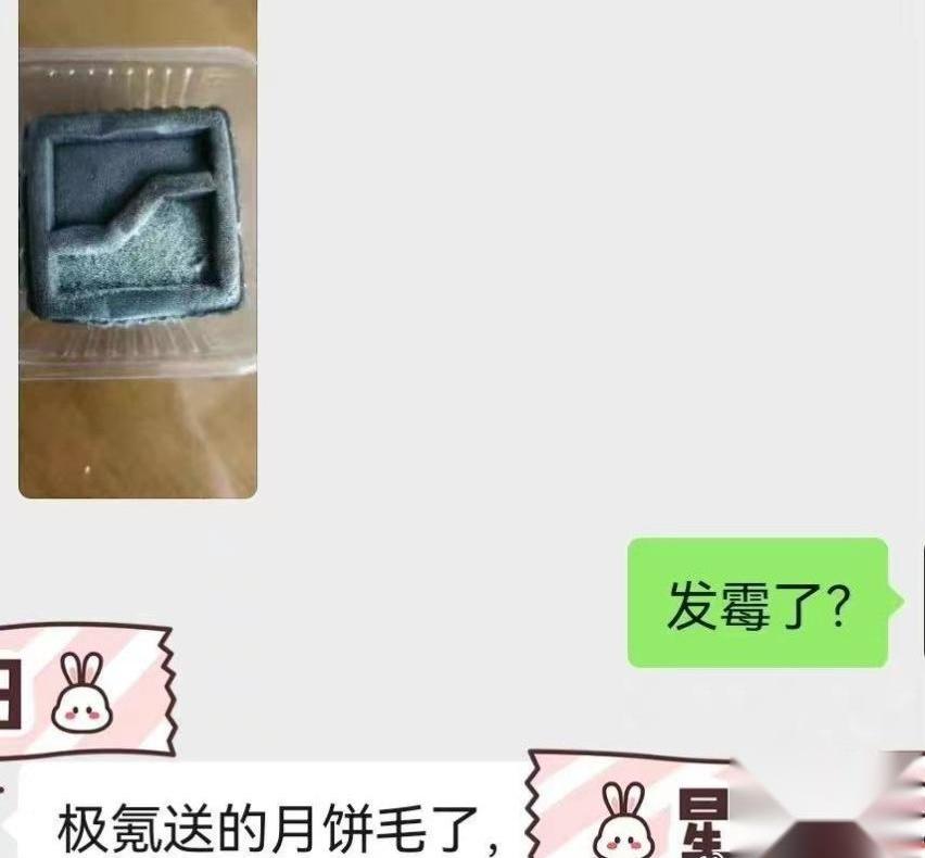 极氪,蔚来