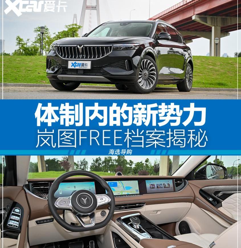 东风,理想ONE,特斯拉,埃安,AION S
