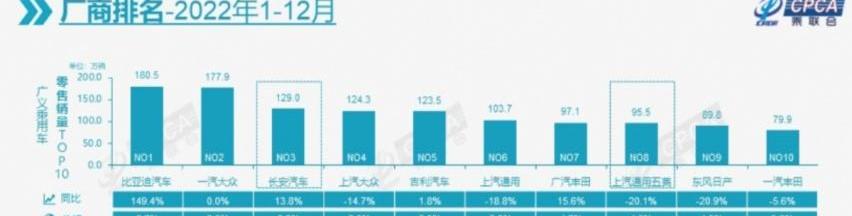 比亚迪,长安,吉利汽车,长城,极氪