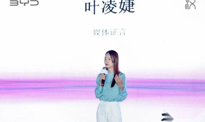 汉,比亚迪