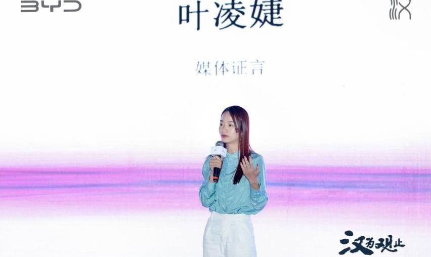 汉,比亚迪
