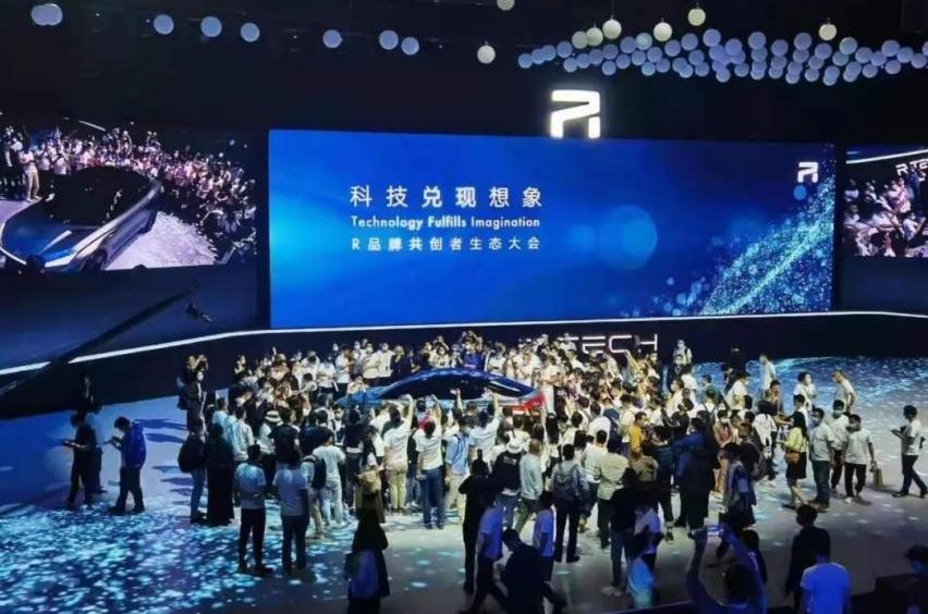 斑马,好运