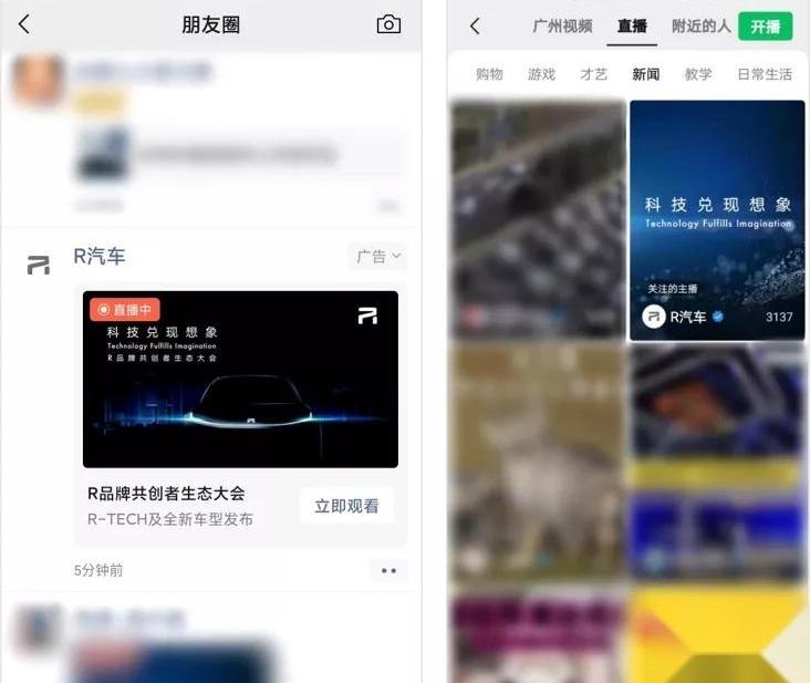 斑马,好运