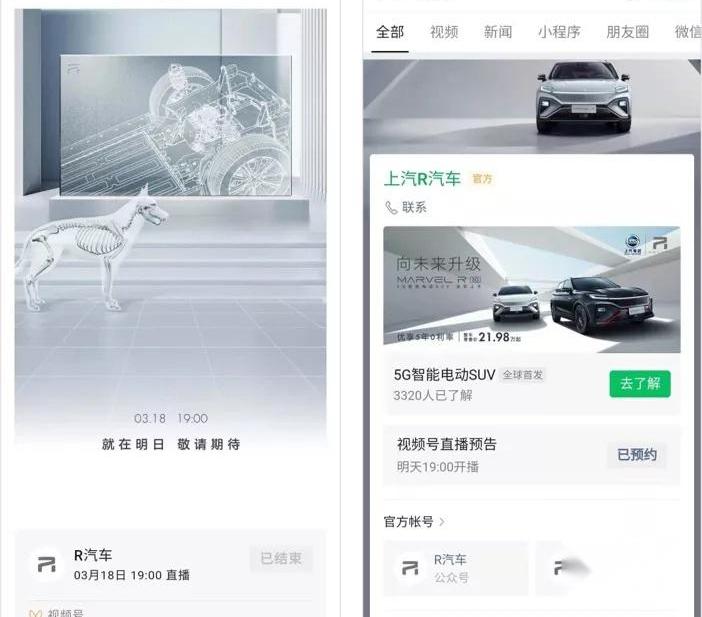 斑马,好运