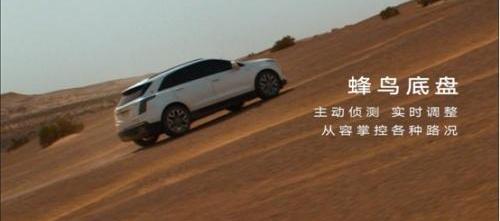 奥迪,凯迪拉克,凯迪拉克XT5,奥迪Q5L