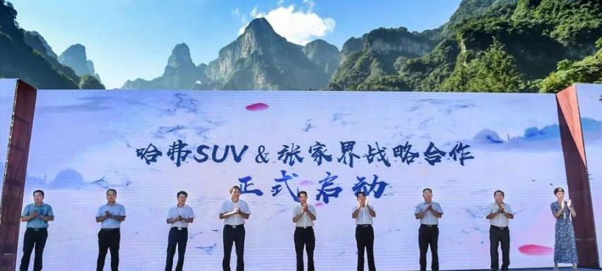 哈弗,哈弗H9,坦克,优越,炮
