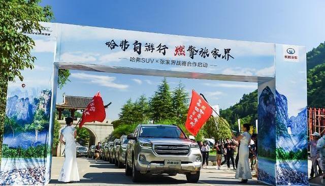 哈弗,哈弗H9,丰田,优越,雷克萨斯LX
