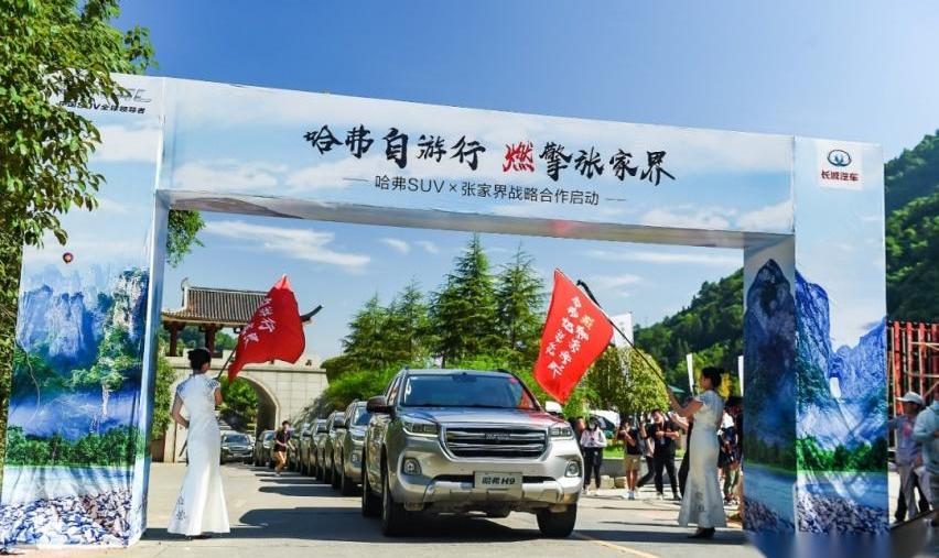 哈弗,长城,哈弗H9,哈弗H6,捷途