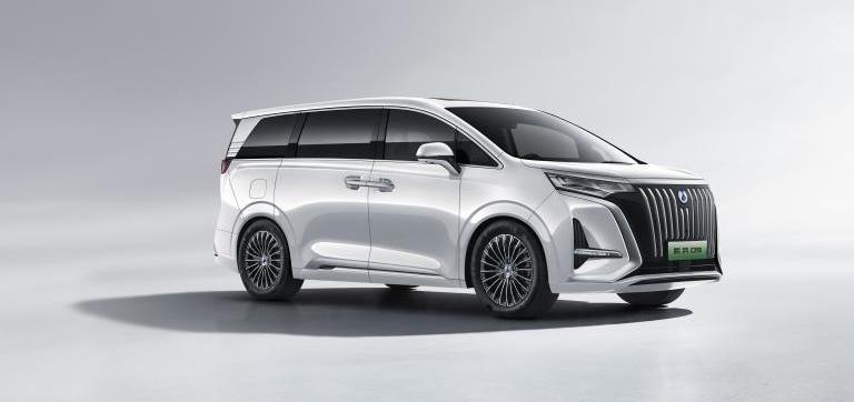 腾势,腾势D9,比亚迪,MINI