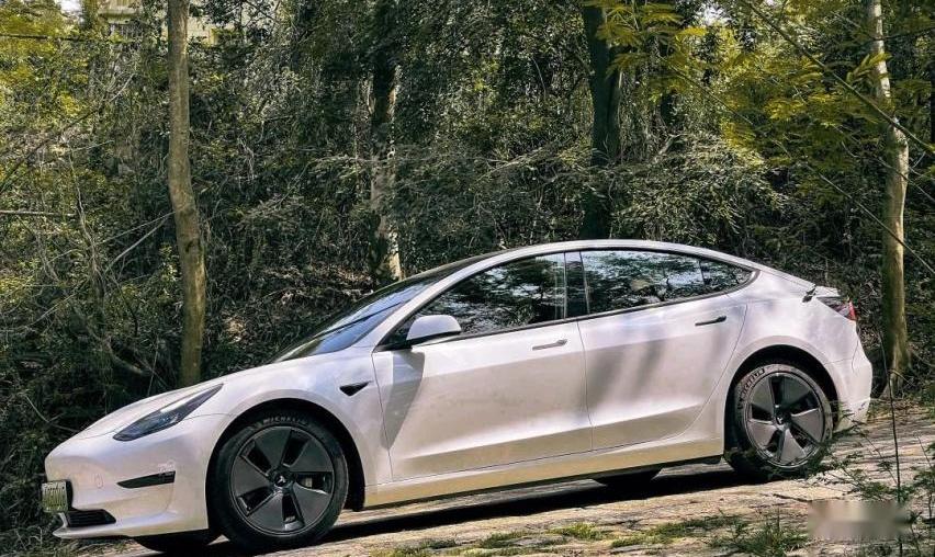 Model 3,特斯拉,发现
