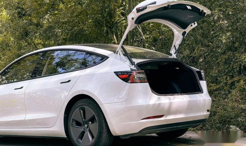 Model 3,特斯拉,发现