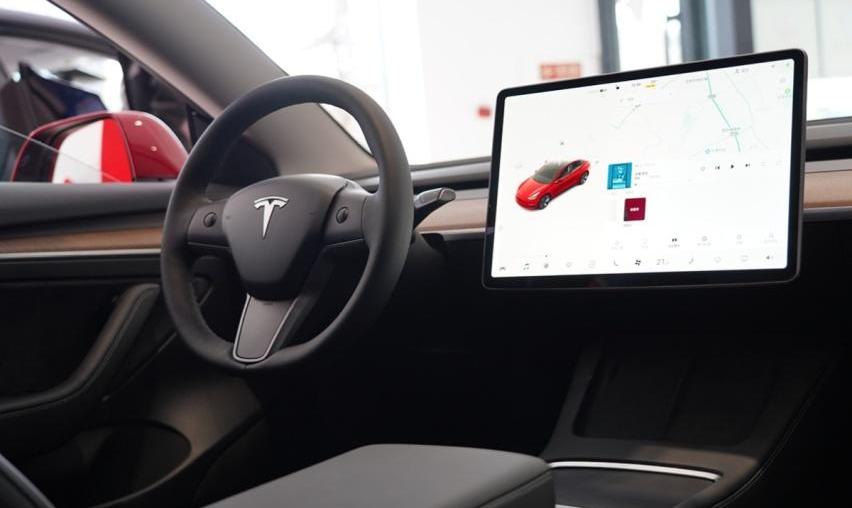 Model 3,Model Y,特斯拉,MINI