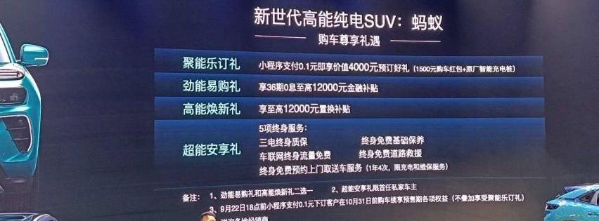 奇瑞,奇瑞新能源,小蚂蚁,北京,比亚迪
