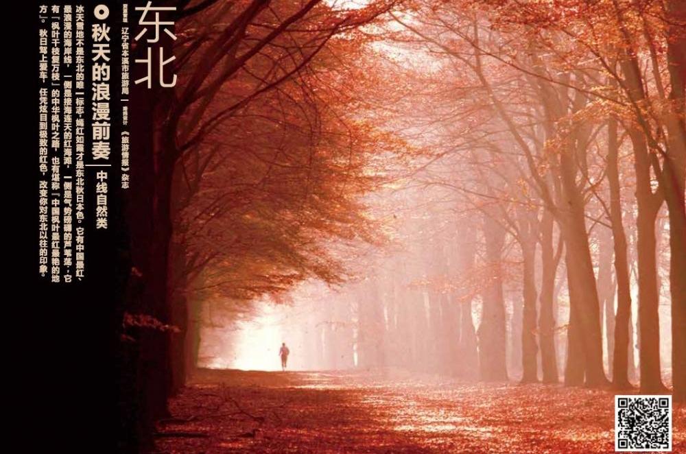 北京,大众,宝典