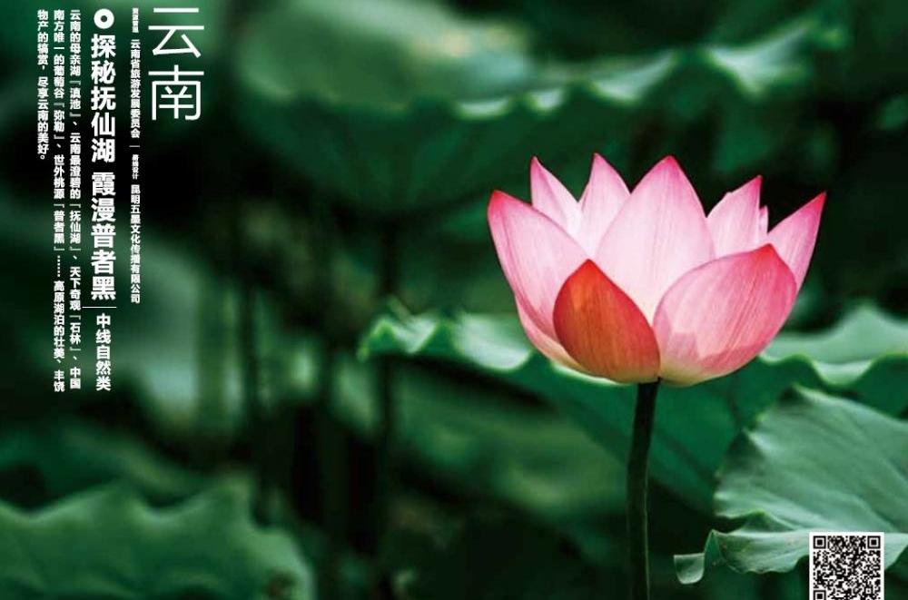 北京,大众,宝典