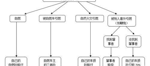 炮,发现